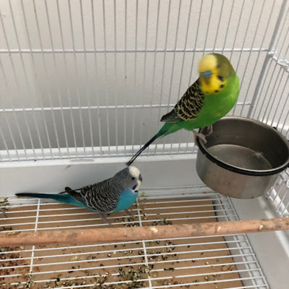 Meet your Posher, Johnny - Picture 1 of 1